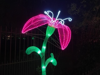 Jardin des Plantes Paris